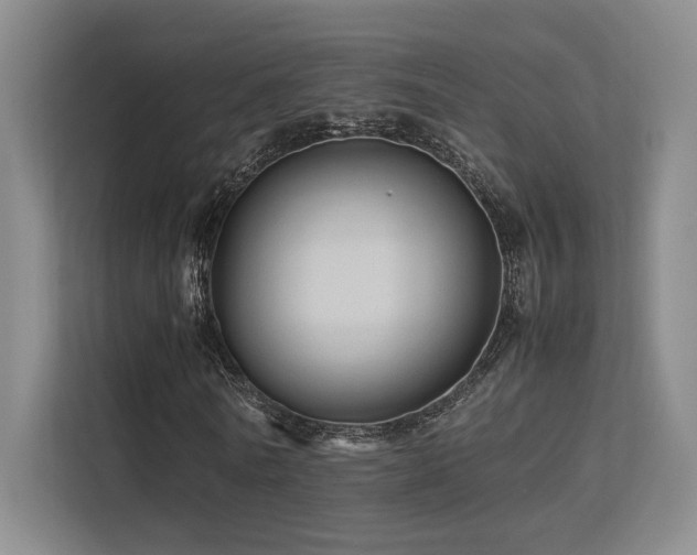 X0000113240770200909101407