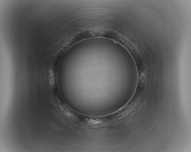 X0000113240772200909101407