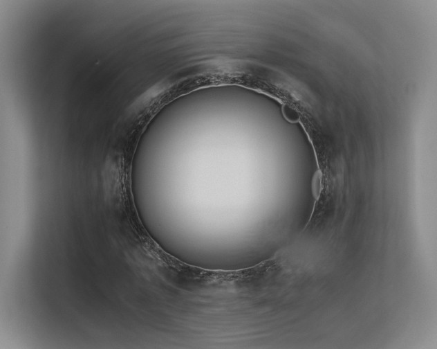 X0000113240773200909101407