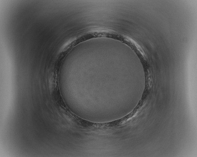 X0000113240775200909101407