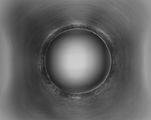 X0000113240776200909101407