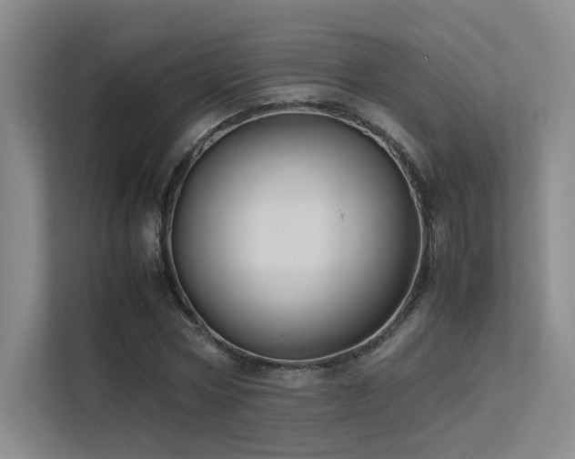 X0000113240778200909101407