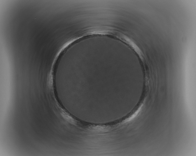 X0000113240779200909101407