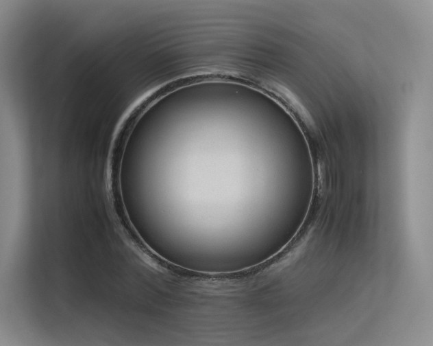 X0000113240780200909101407