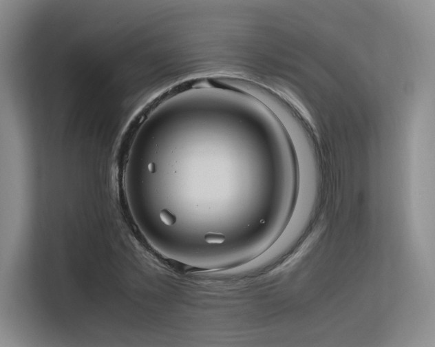 X0000113240781200909101407