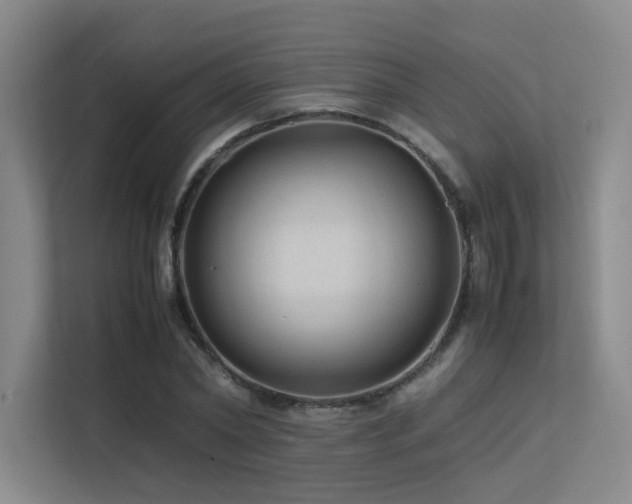 X0000113240782200909101407