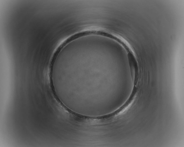 X0000113240783200909101407