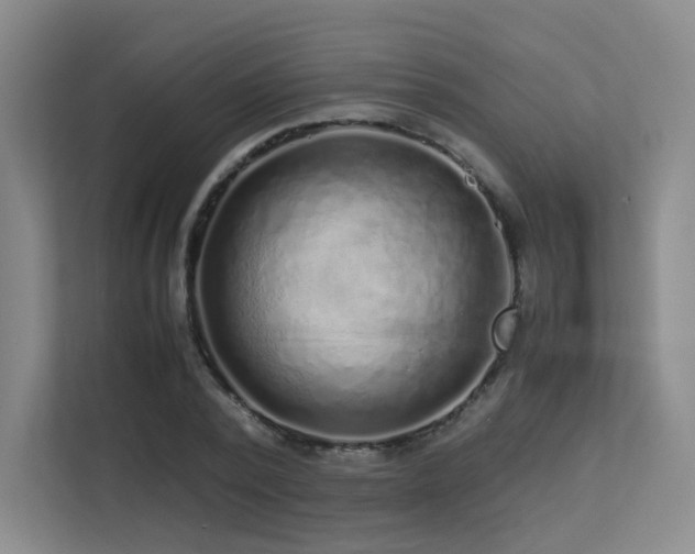 X0000113240784200909101407