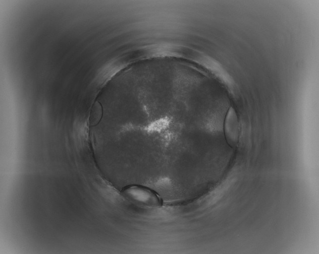 X0000113240785200909101407