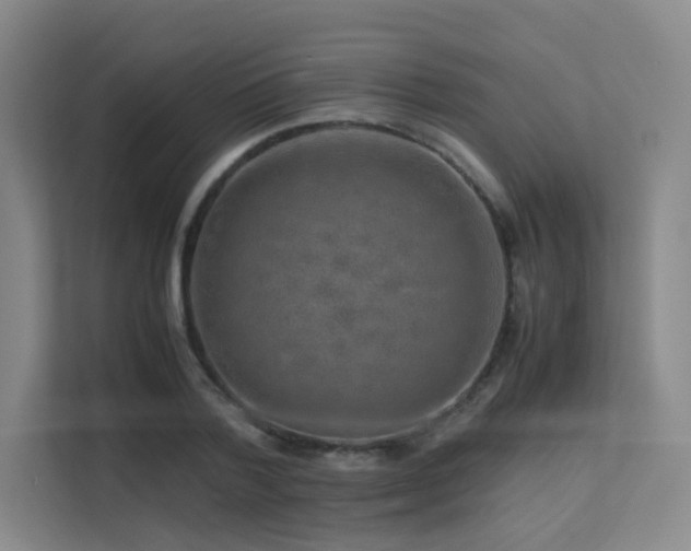 X0000113240788200909101407