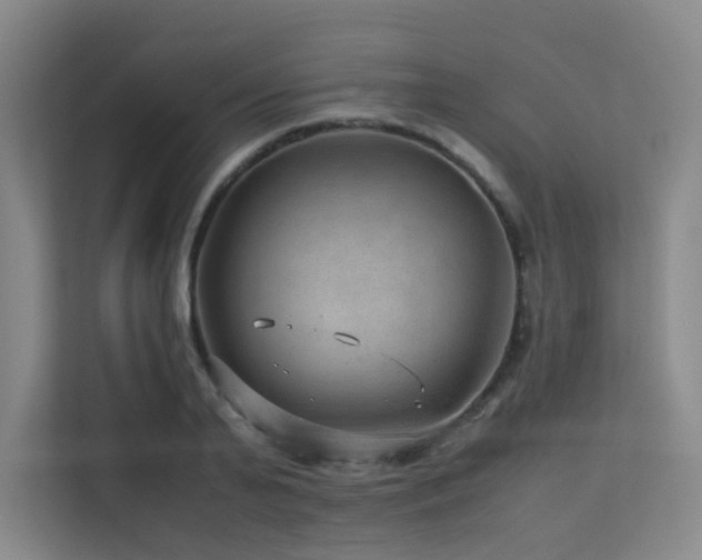 X0000113240791200909101407