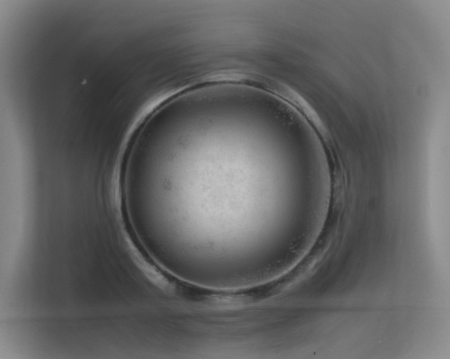 X0000113240795200909101407