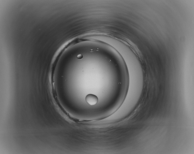 X0000113240796200909101407