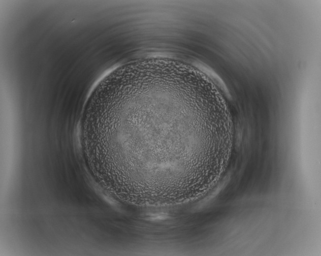 X0000113240798200909101407