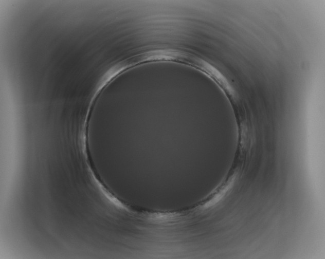 X0000113240802200909101407