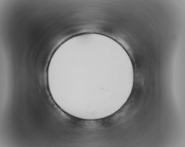 X0000113240807200909101407