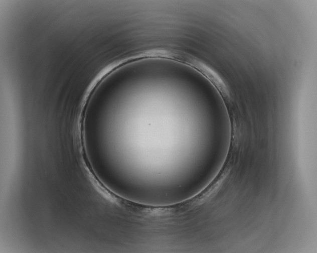 X0000113240808200909101407