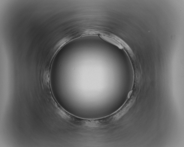 X0000113240809200909101407