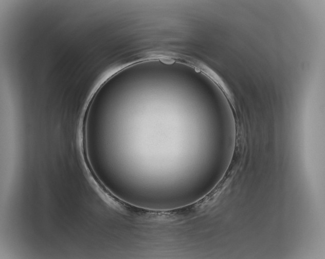 X0000113240811200909101407