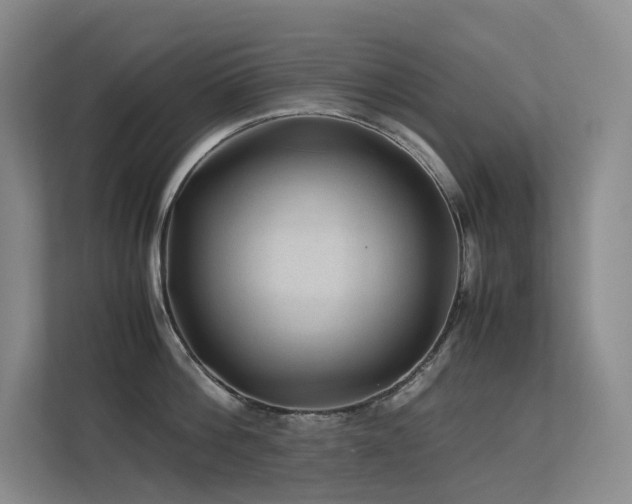 X0000113240812200909101407