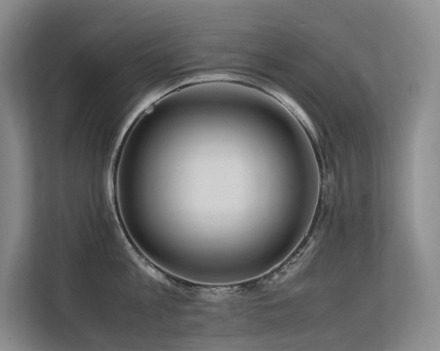 X0000113240813200909101407