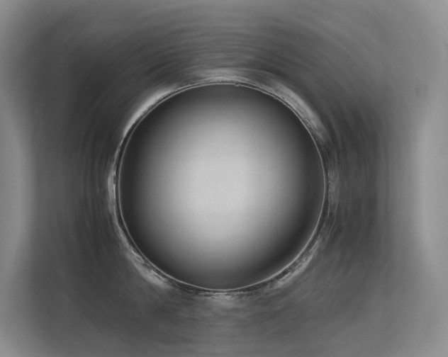 X0000113240814200909101407