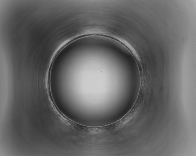 X0000113240815200909101407