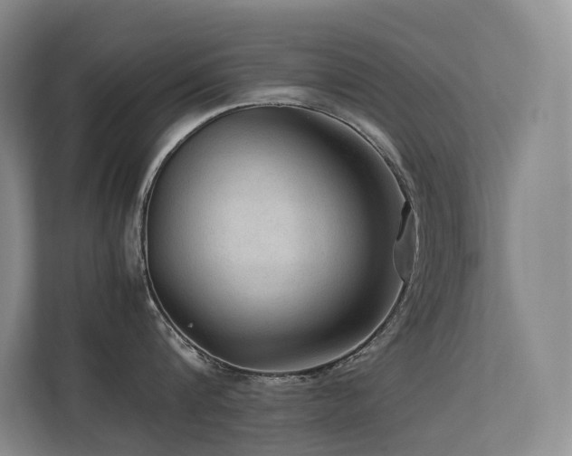 X0000113240816200909101407