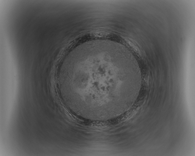 X0000113240817200909101406