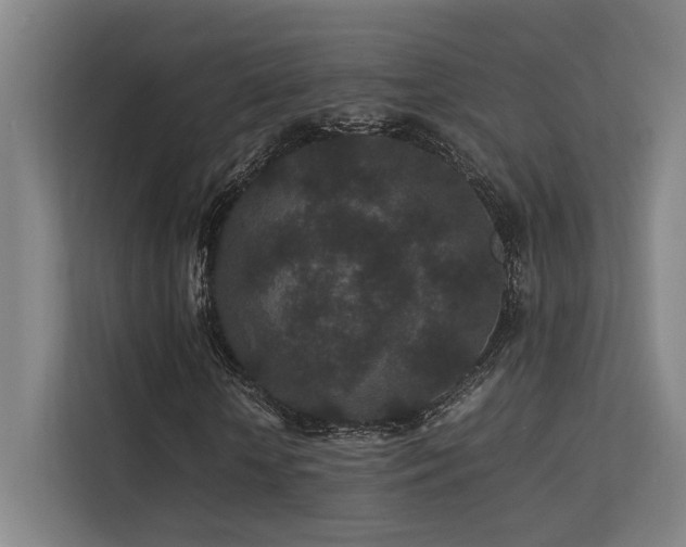 X0000113240818200909101406