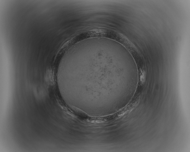 X0000113240819200909101406