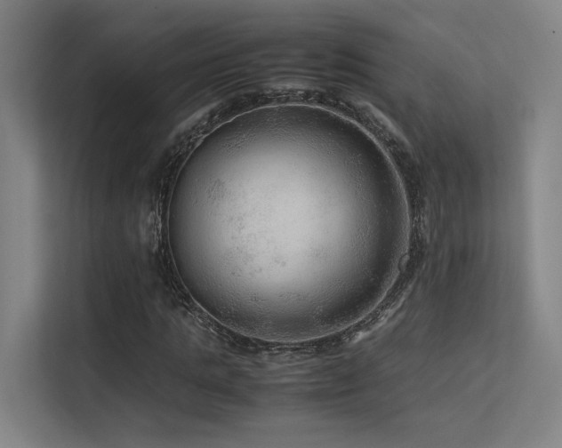 X0000113240821200909101406