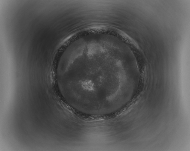 X0000113240822200909101406