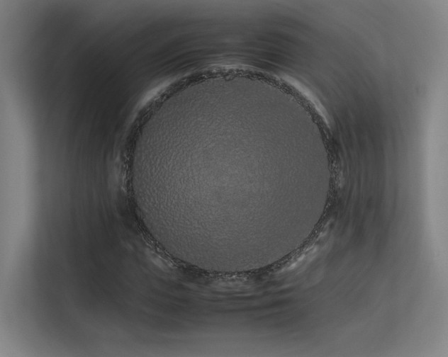 X0000113240823200909101406