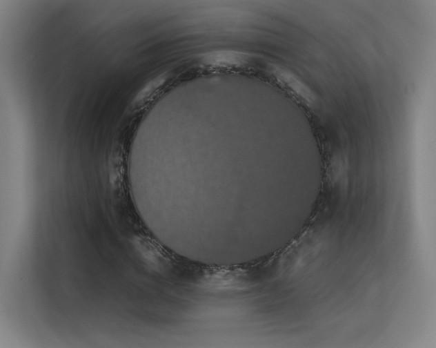 X0000113240824200909101406