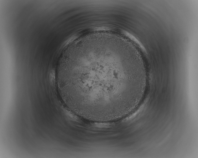 X0000113240825200909101406