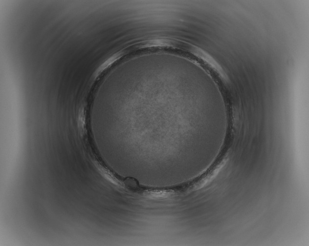 X0000113240826200909101406