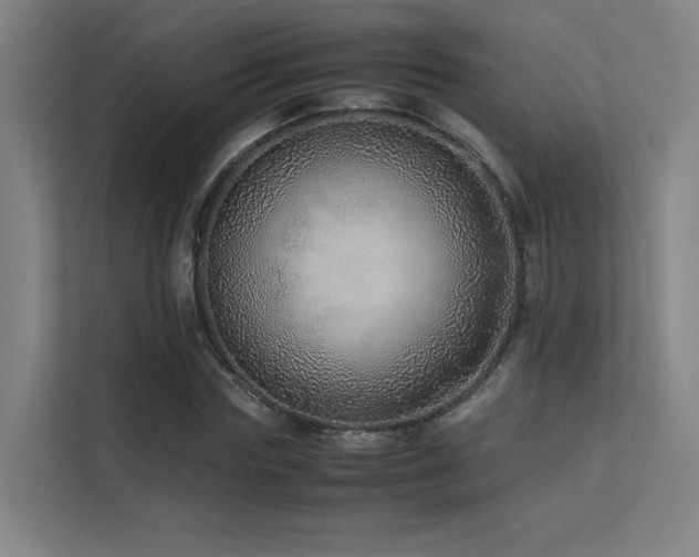 X0000113240827200909101406