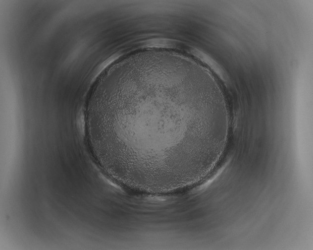 X0000113240829200909101406