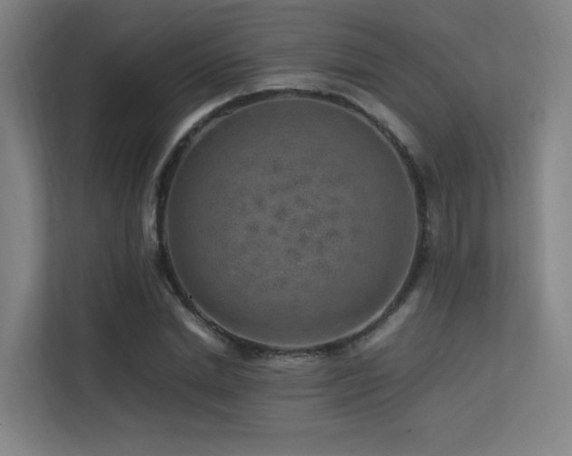 X0000113240830200909101406