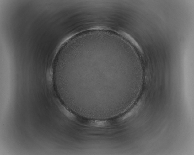 X0000113240831200909101406