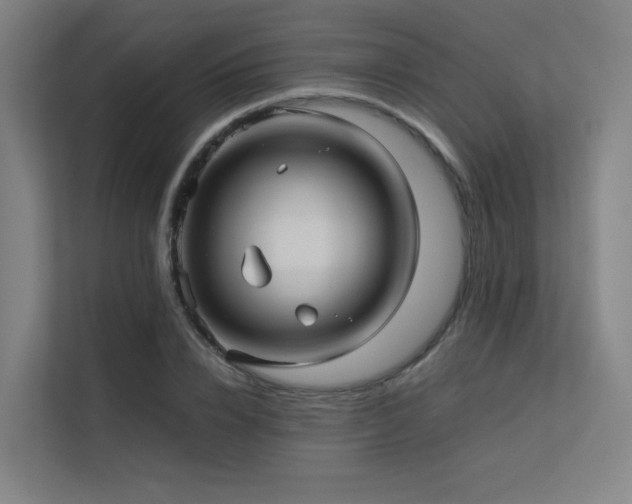 X0000113240832200909101406