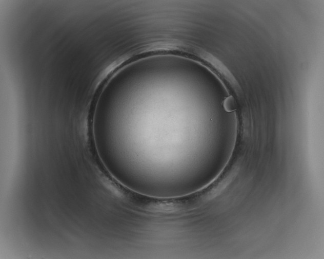 X0000113240834200909101406