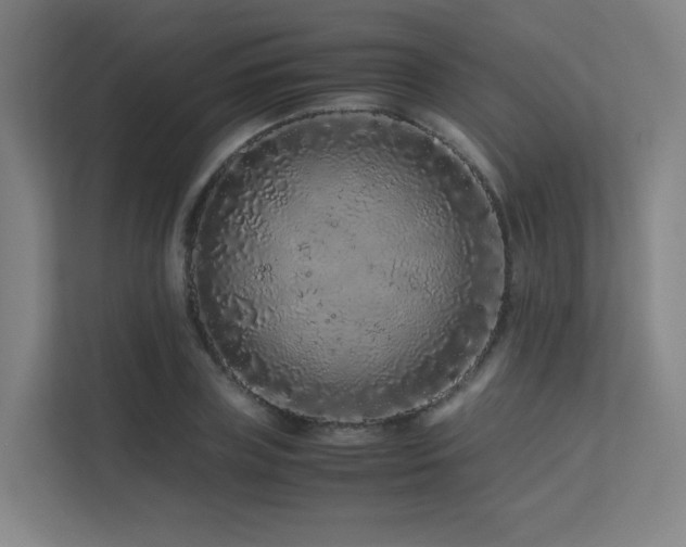 X0000113240835200909101406