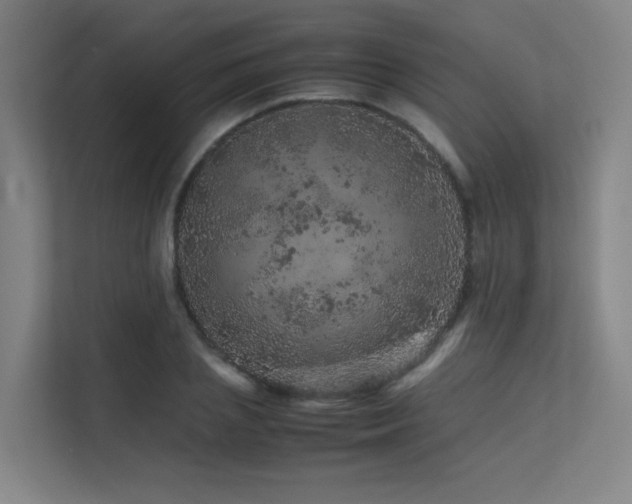 X0000113240837200909101406