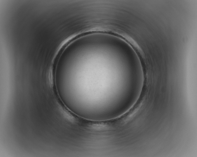 X0000113240838200909101406