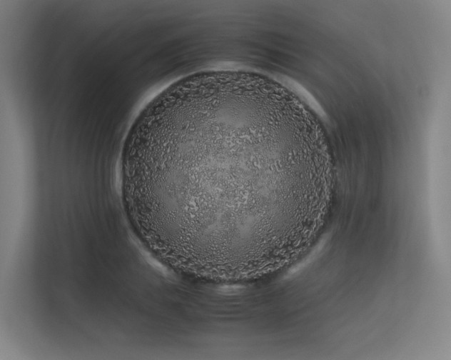 X0000113240839200909101407