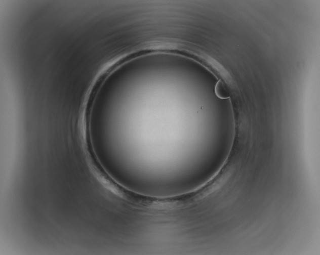 X0000113240840200909101407