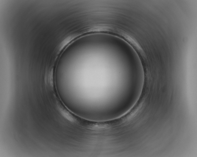 X0000113240842200909101407