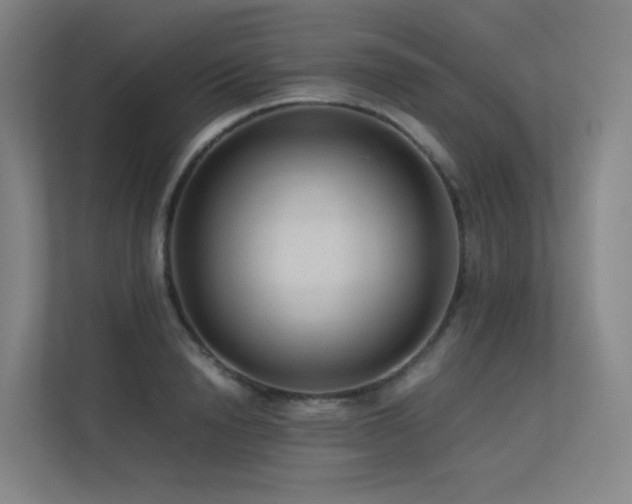 X0000113240846200909101407